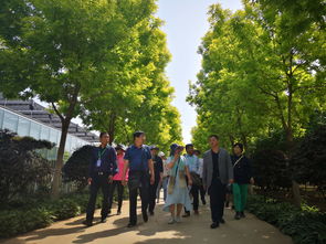 心靈震撼的北京鄉(xiāng)土苗木園林古建工程