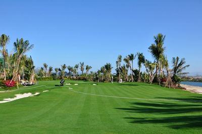 山東順和園林綠化工程簽約建文軟件，攜手推動園林工程信息化進程